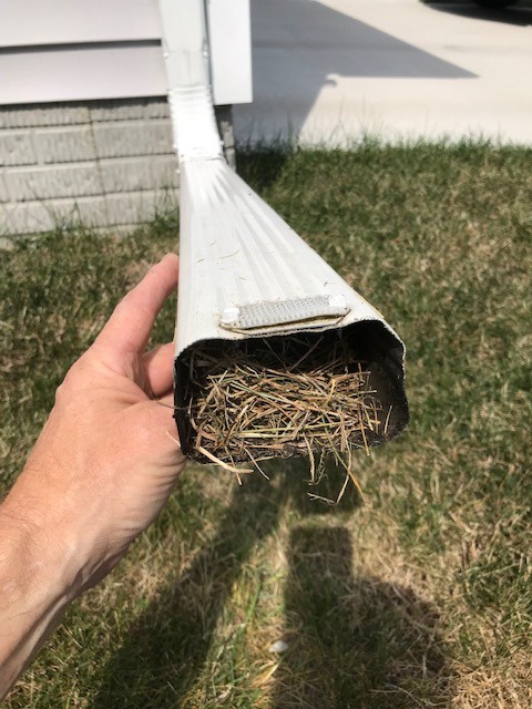 clogged downspout.